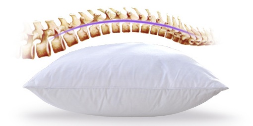 鹅绒枕头为什么不会弹