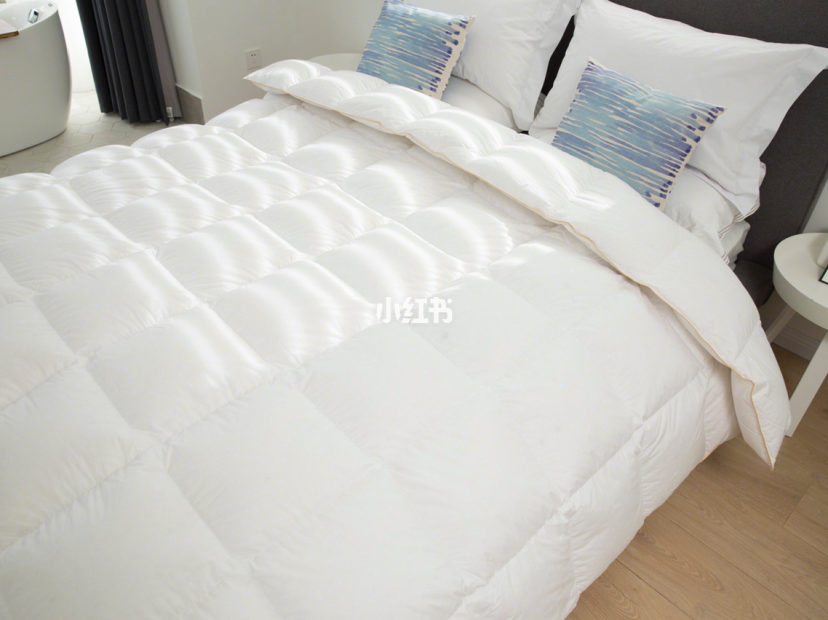 OBB鹅绒枕测评:睡过那么多枕头还落枕?那是你选错材质啦