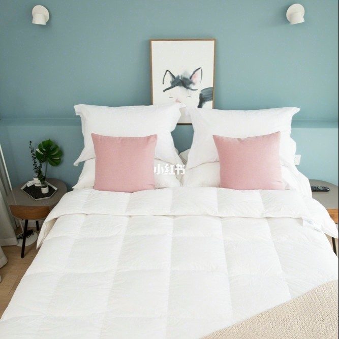 OBB鹅绒枕测评:提高生活品质可以从换一款枕头开始